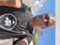 JOHANATHAN PILLAY profile image