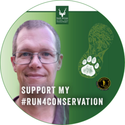 David Borain profile image